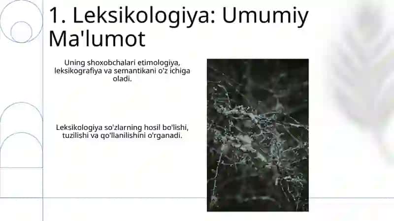 Leksikologiya va uning boʼlimlari 3