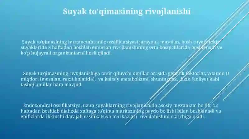 Suyak toʻqimasining gisto tuzilishi 3