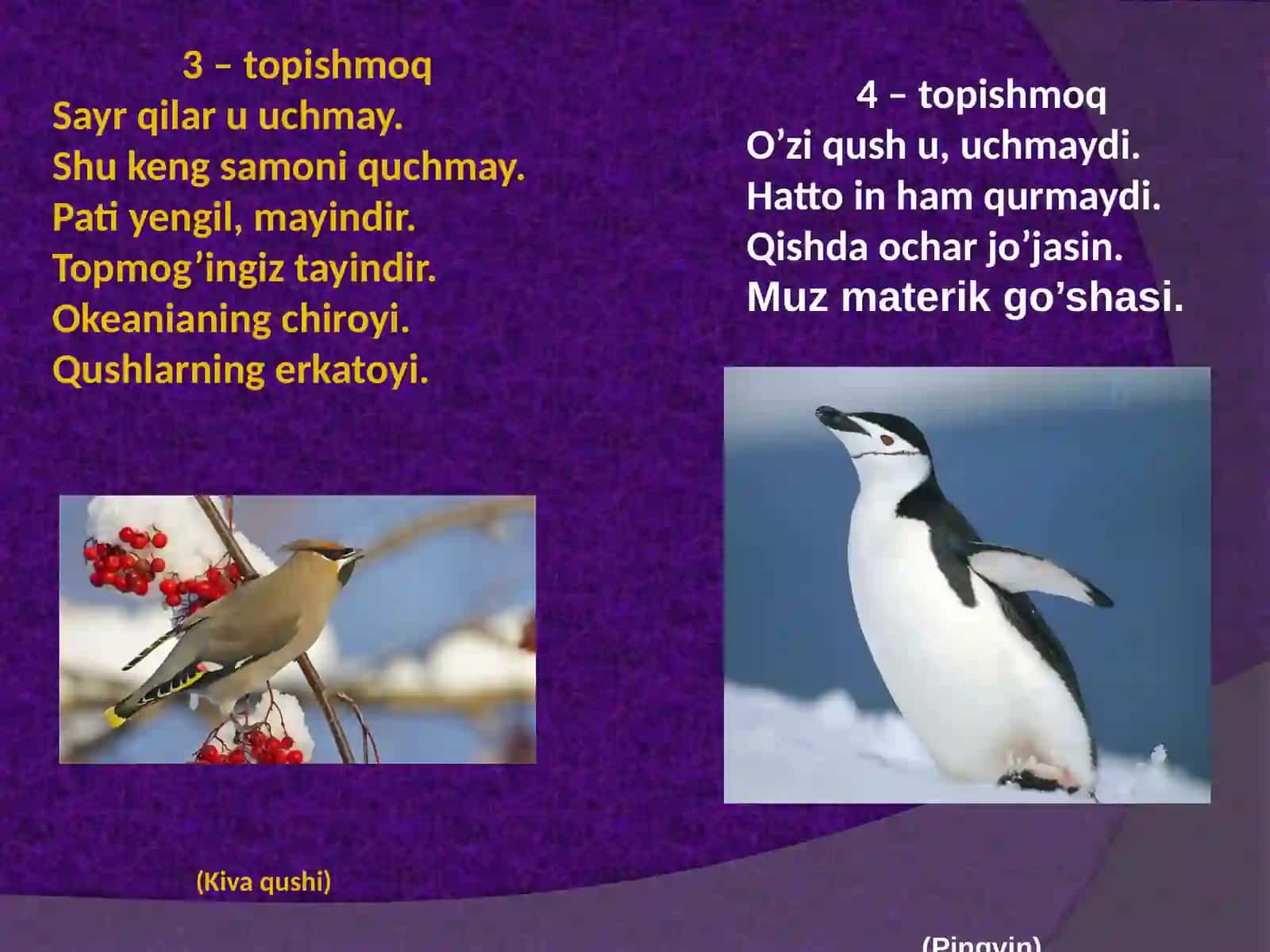Geografik topishmoqlar 3