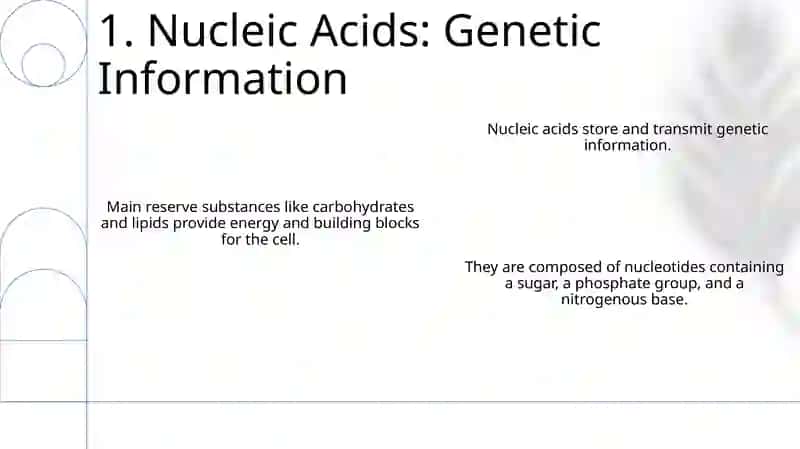 Chemical composition of the cell 3