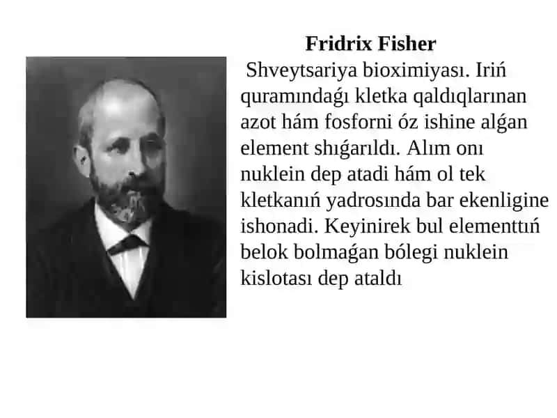 Belok biosintezinde DNK hám RNK nıńróli 3