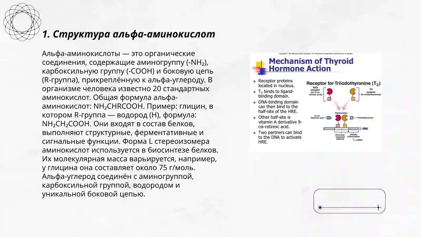 Альфа-аминокислоты 3