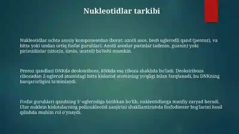 Nuklein kislotalarning tuzilishi 3