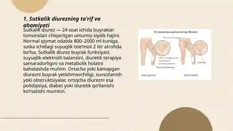 Sutkalik diurezni oʻlchash 3
