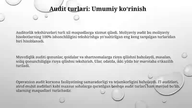 Auditorlik tekshiruvi 3