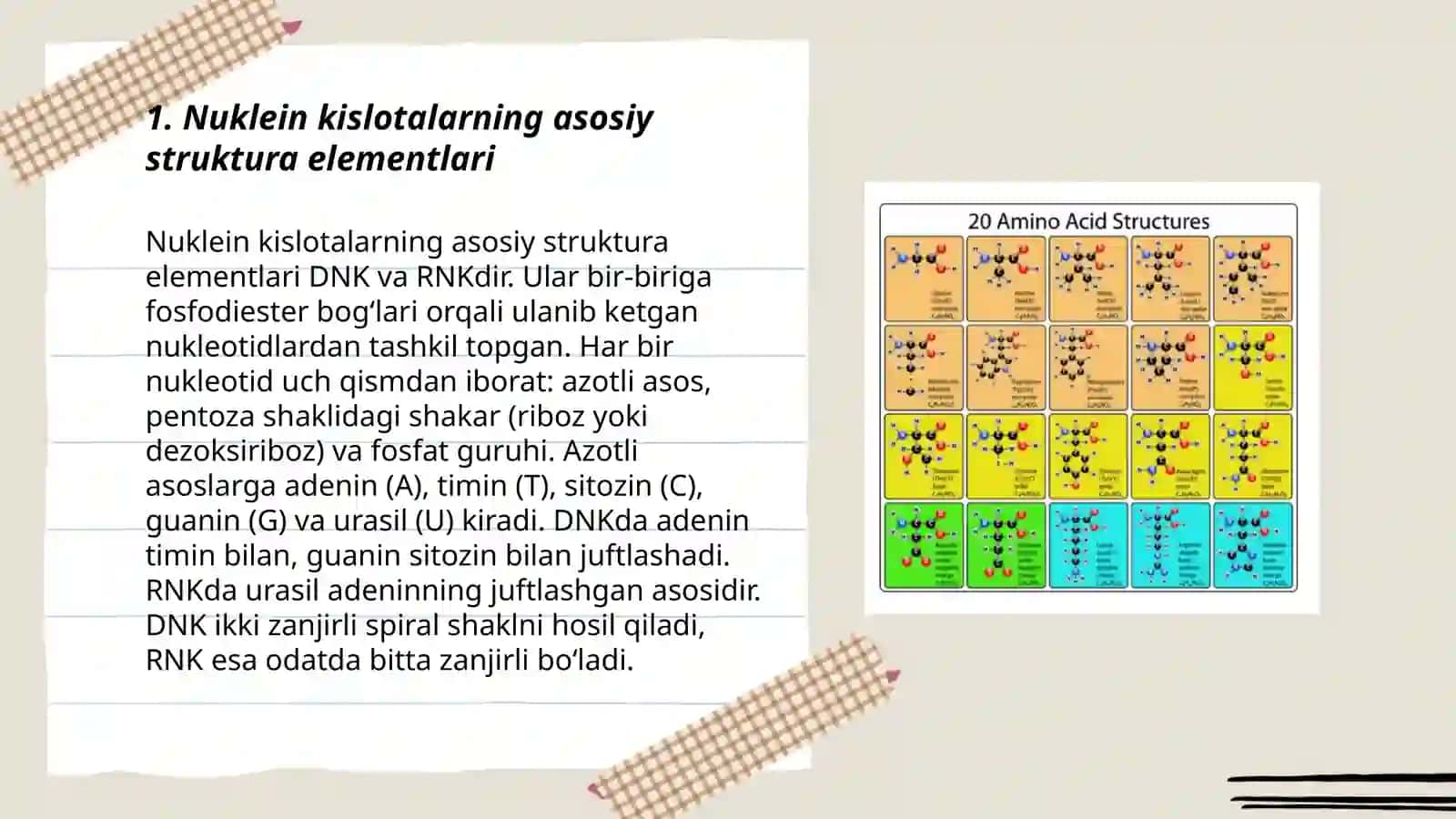 Nuklein kislotalarning tuzilishi 3