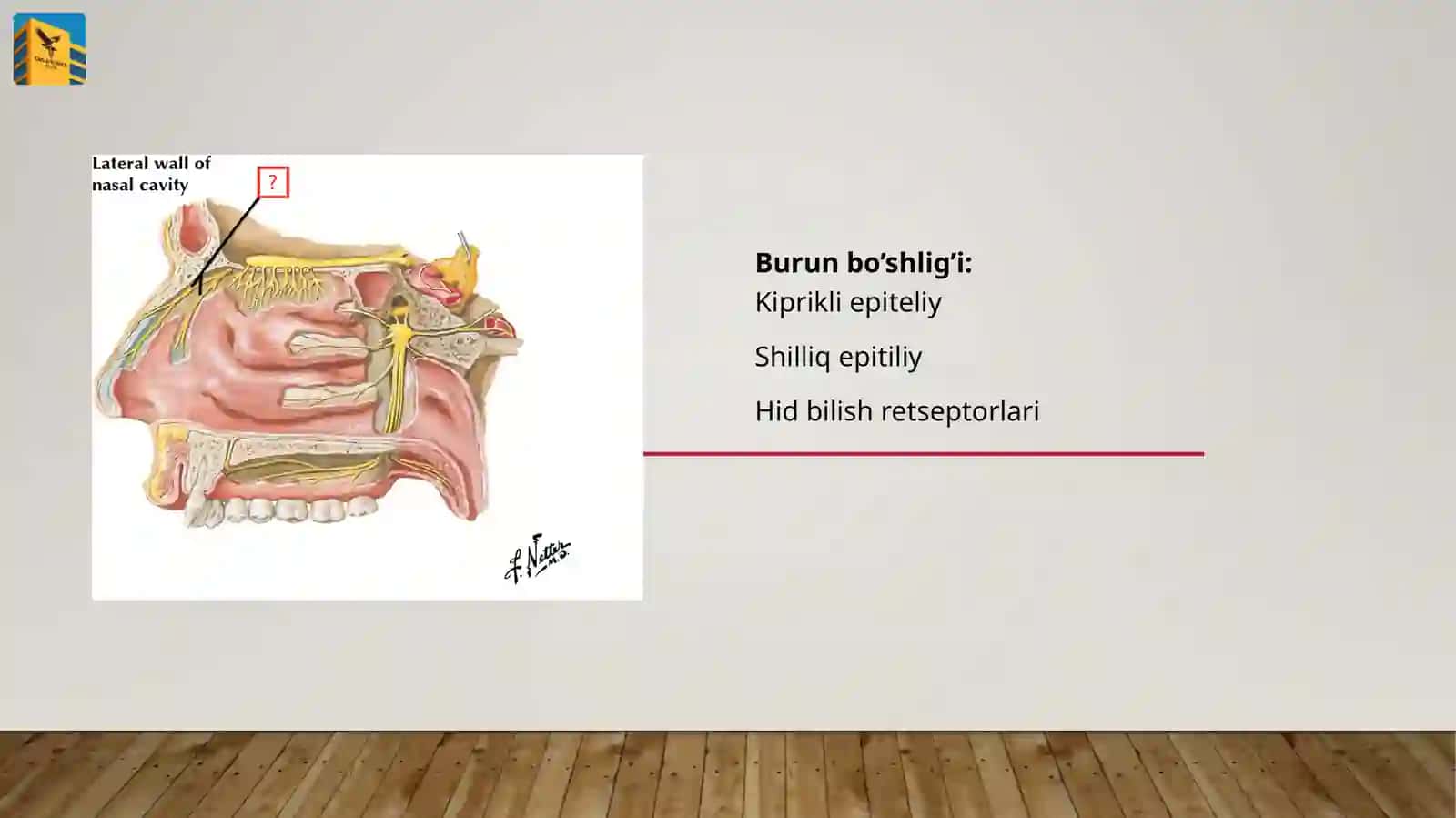 Nafasolish sistemasi 3
