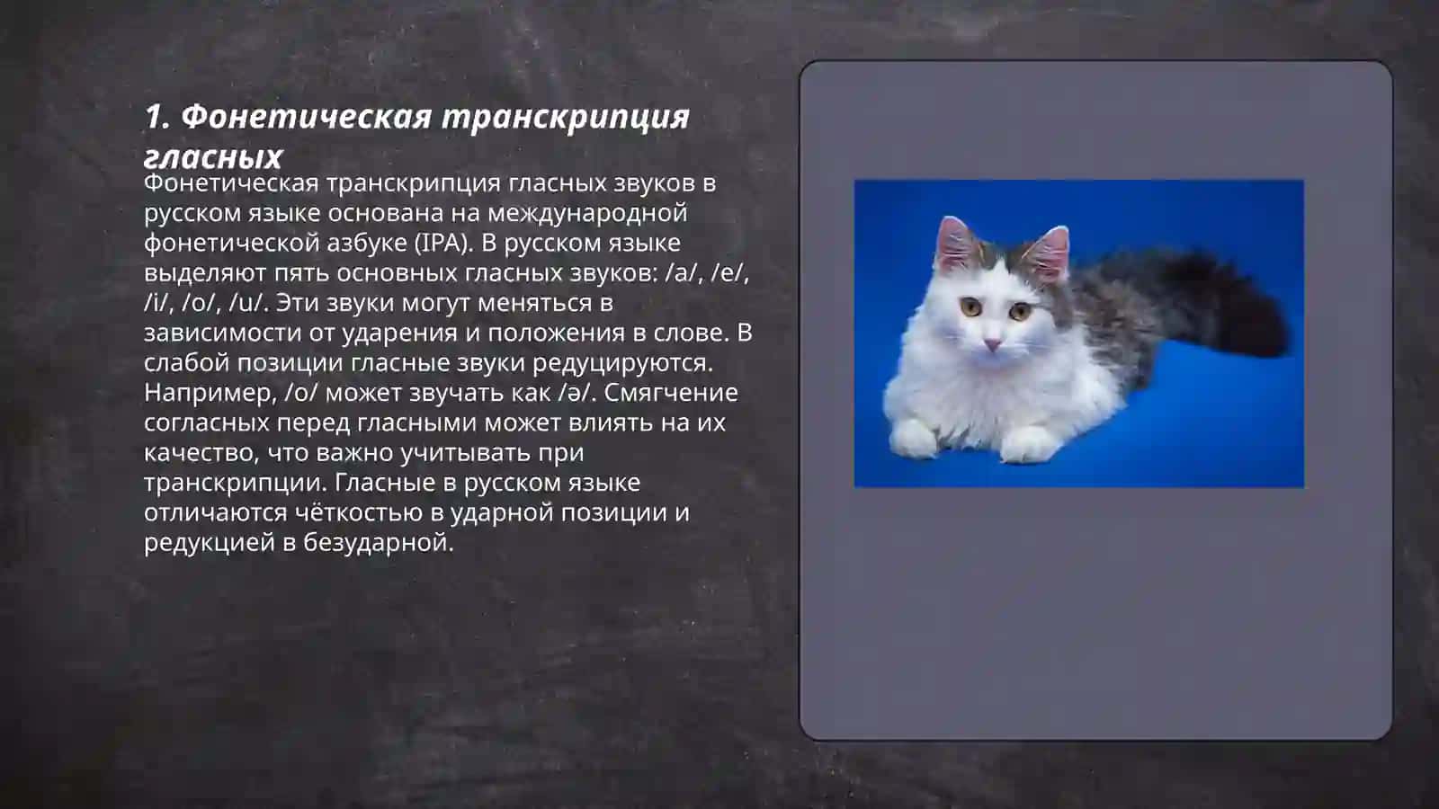 Фонетическая транскрипция гласных 3