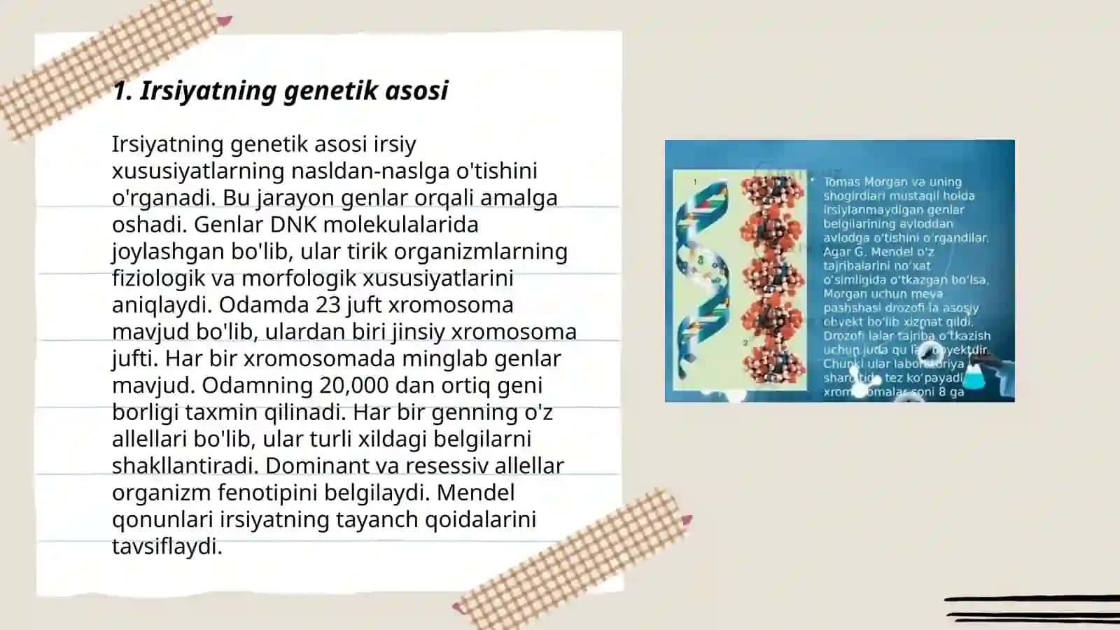 Irsiyatning xramasoma nazaryasi 3