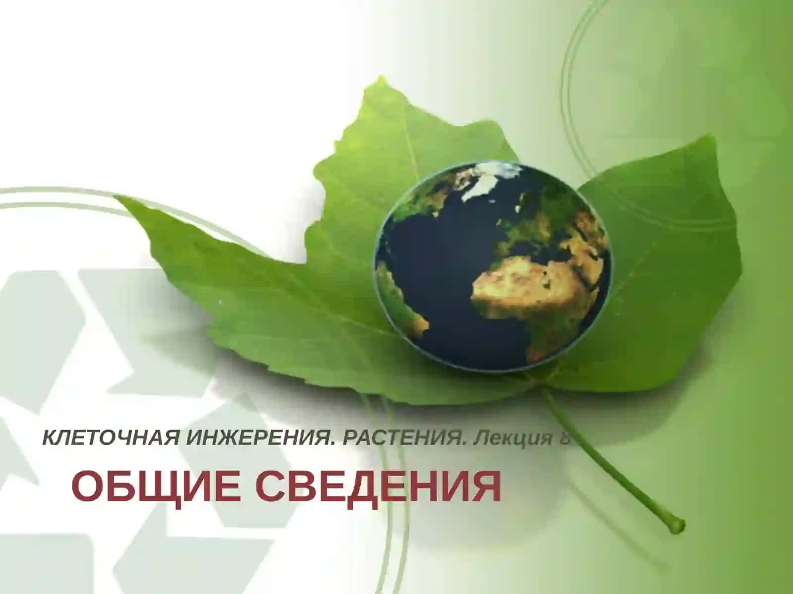 ОСНОВЫ БИОТЕХНОЛОГИИ 3