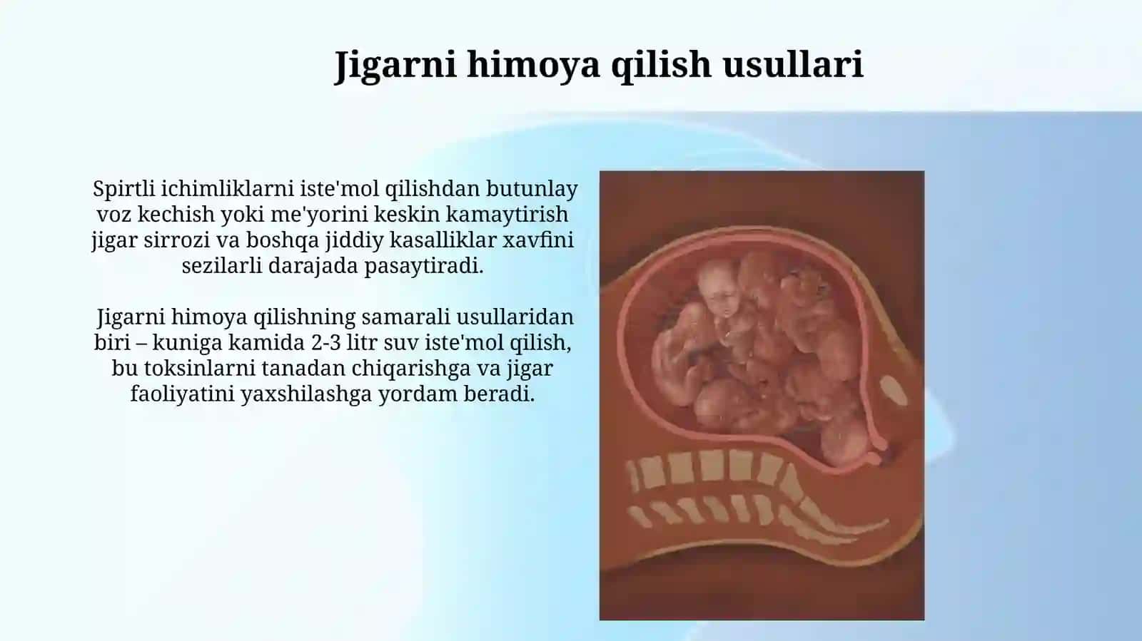 Jigarning prenatal va postnatal rivojlanishi 3