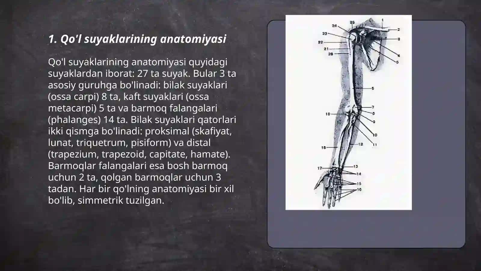 Qo'l suyaklari birlashuvi 3