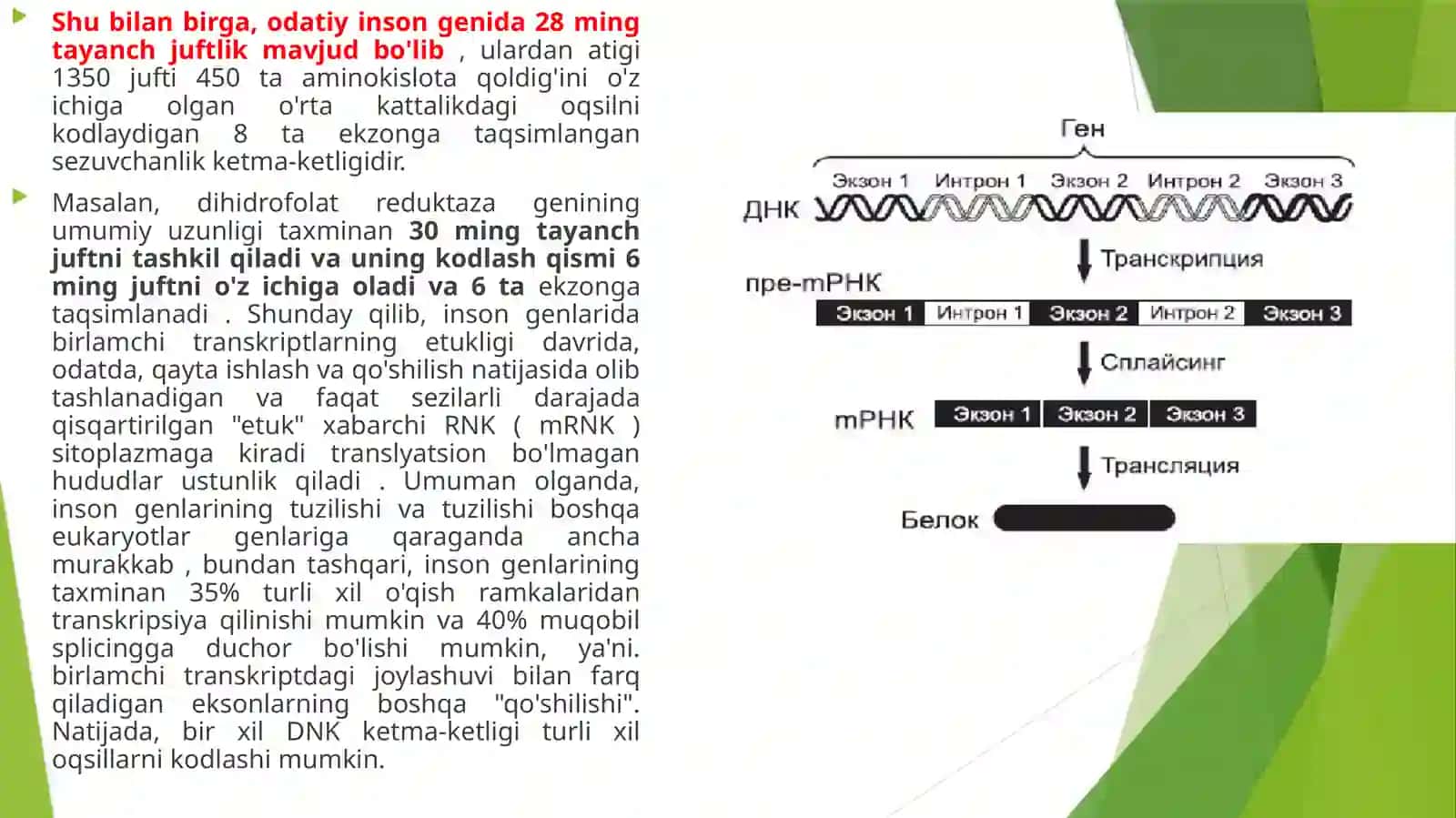 Inson genomi 3