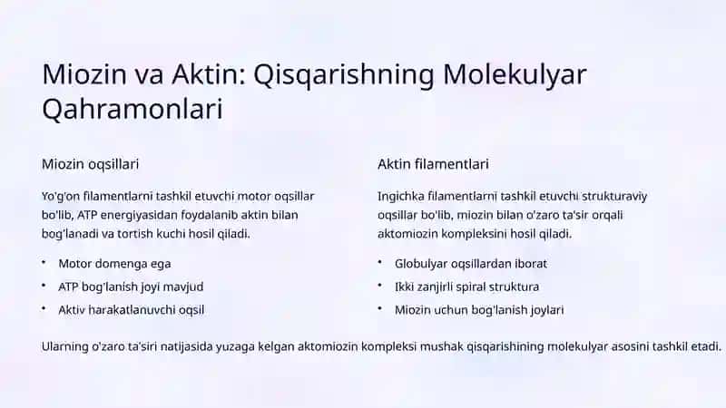 Mushak Qisqarish Mexanizmlari 3