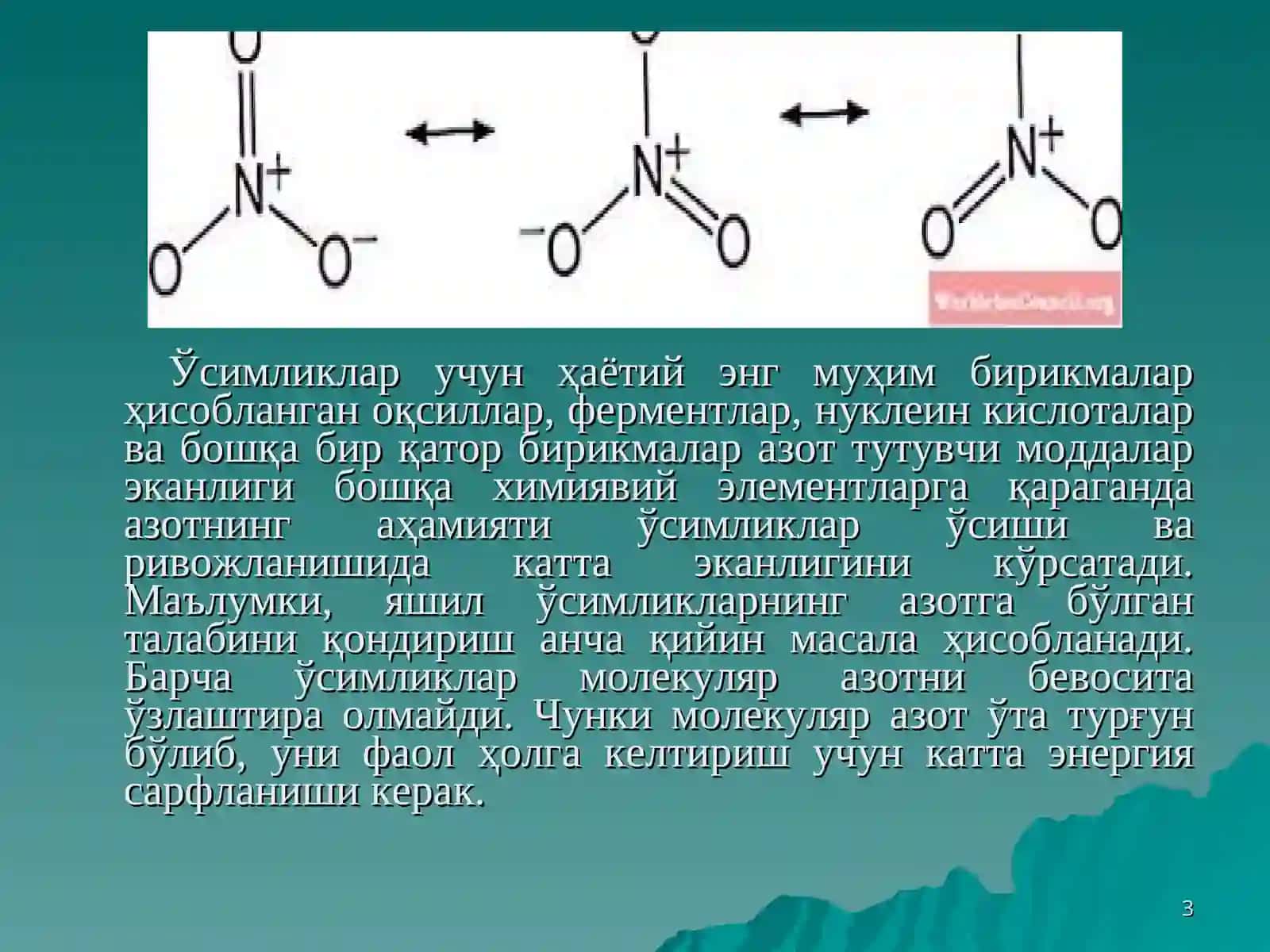 Нитратларнинг ўзлаштирилиши ва аминокислоталар синтези 3