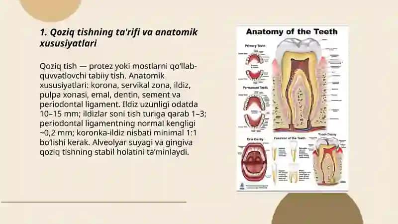 Qoziq tishning umumiy holati 3
