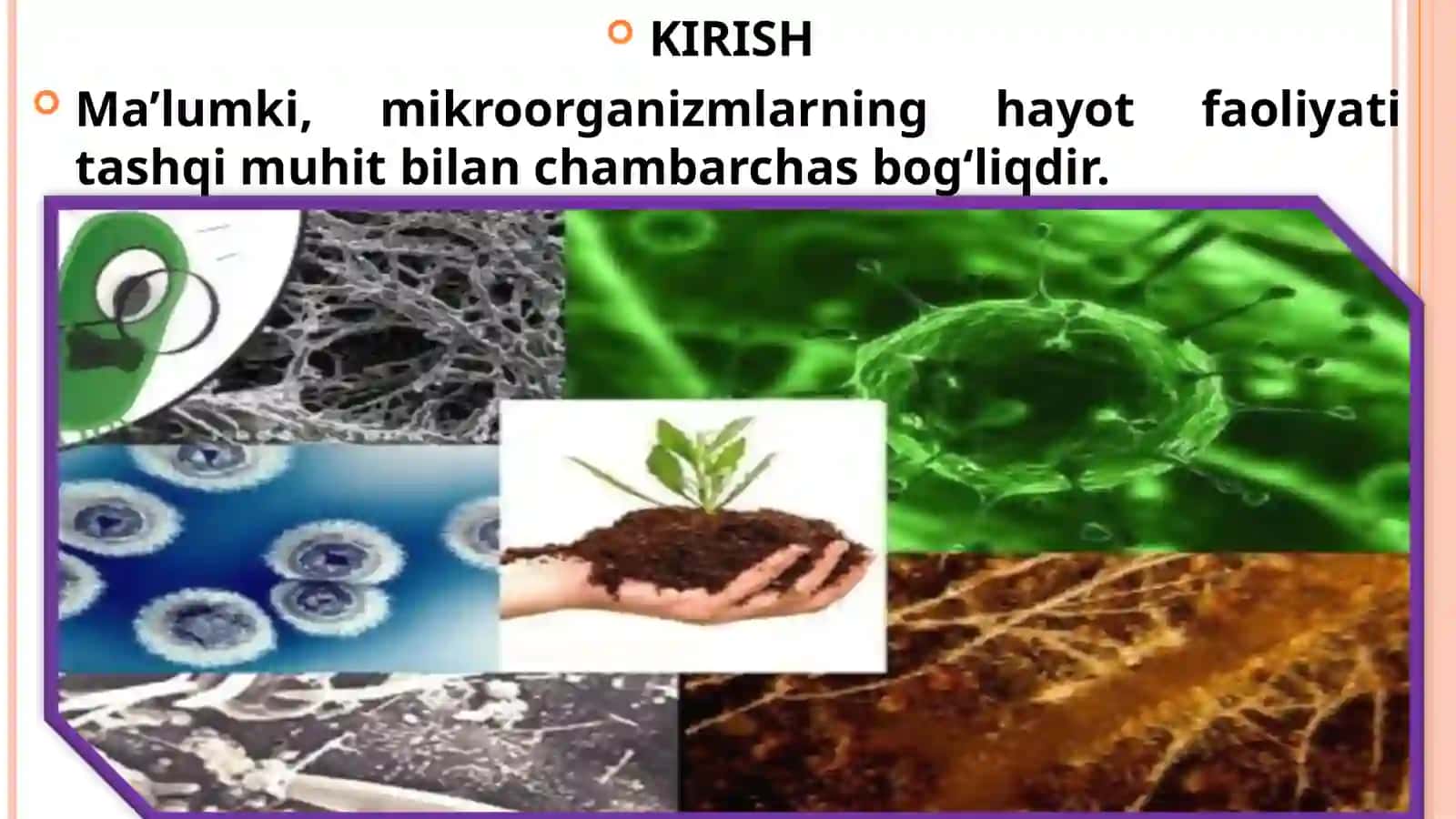 Mikroorganizmlarning hayot faoliyati 3