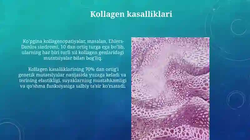 Kollagen Tolalar 3