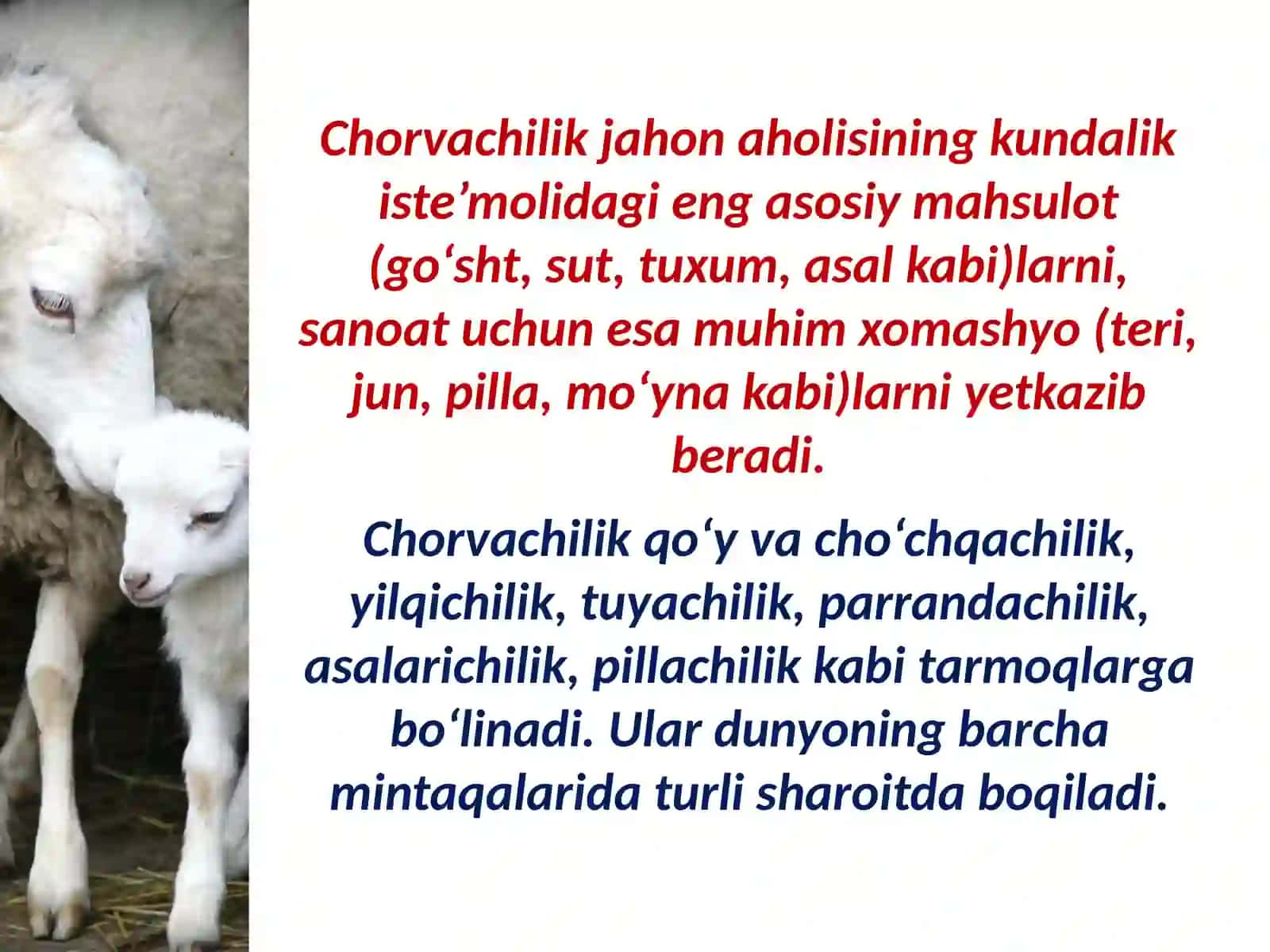 Jahon chorvachiligi va baliqchiligi 3