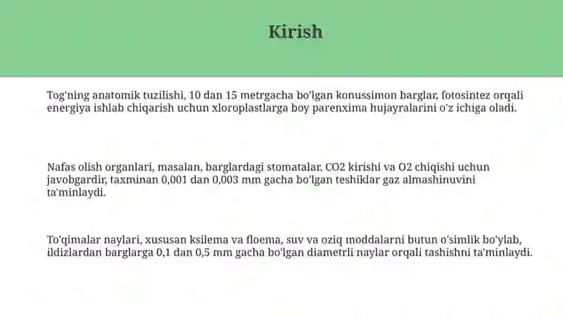 Bargning anatomik tuzilishi 3