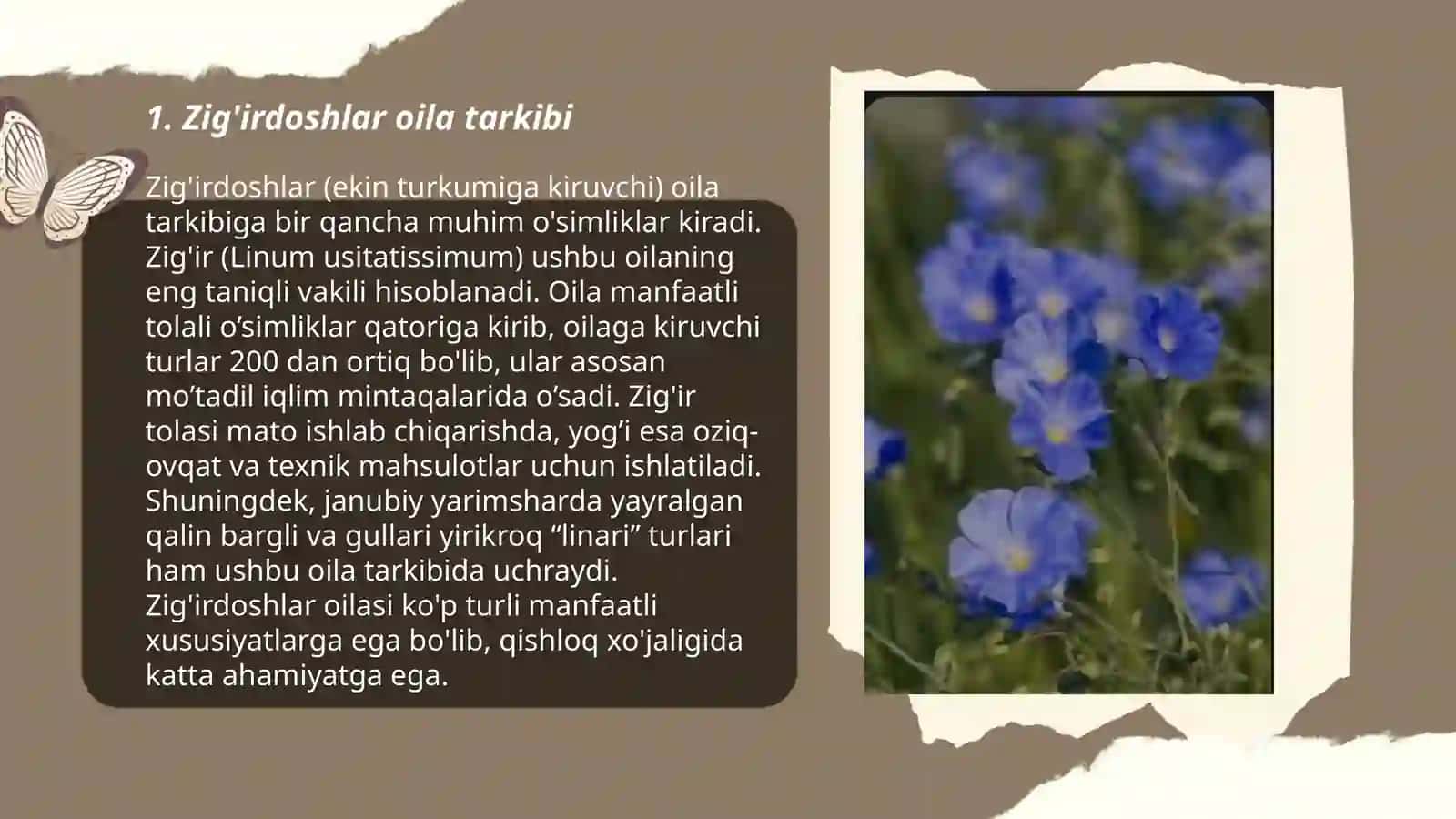 Zig'irdoshlar oilasi 3