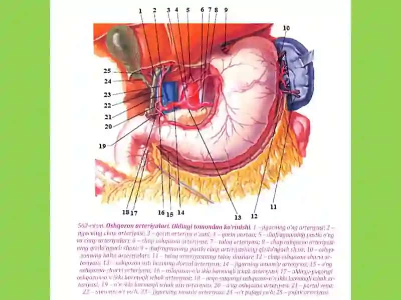 Gastrostomiya 3