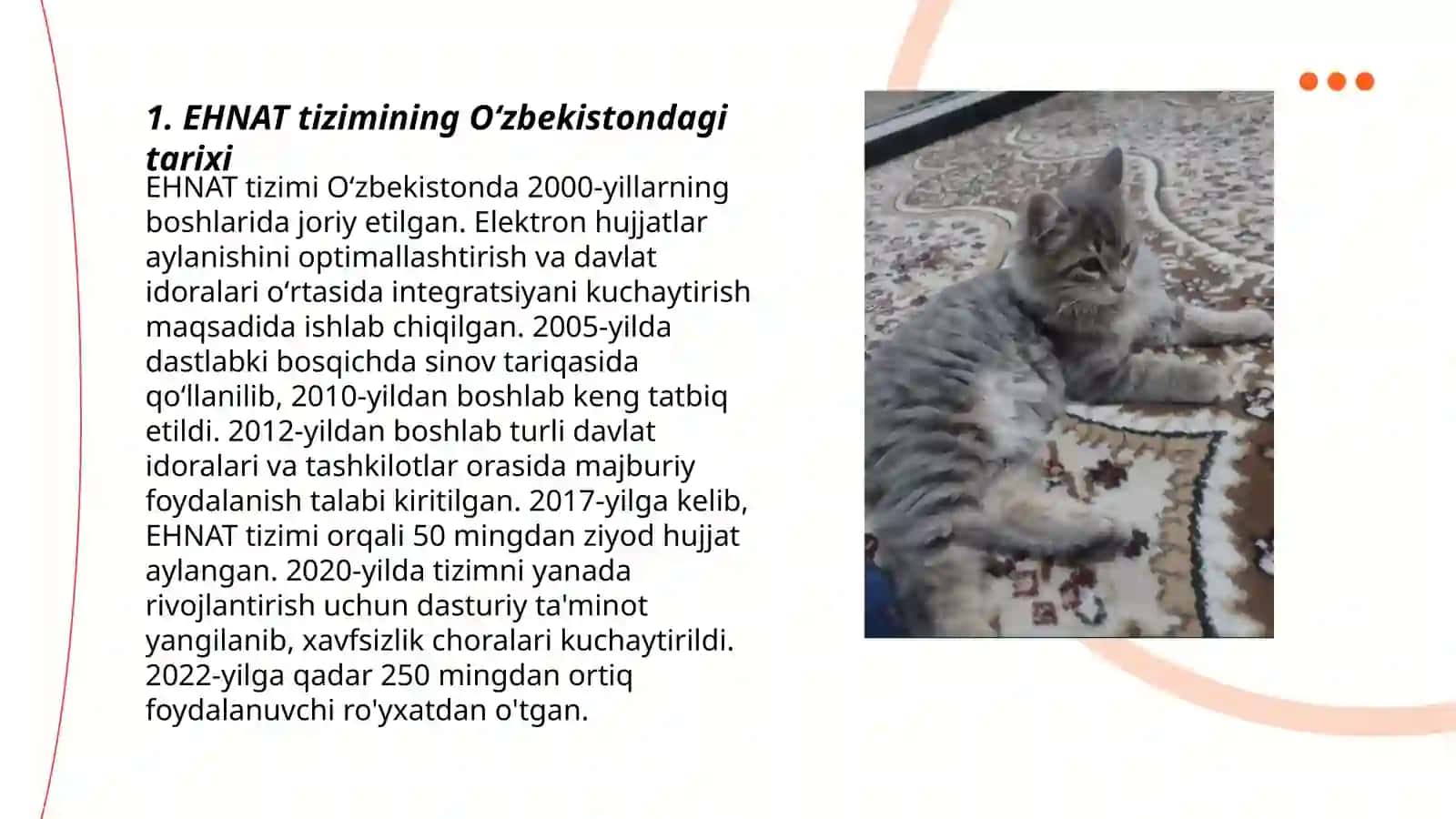 EHNAT tizimining rivojlanishi 3