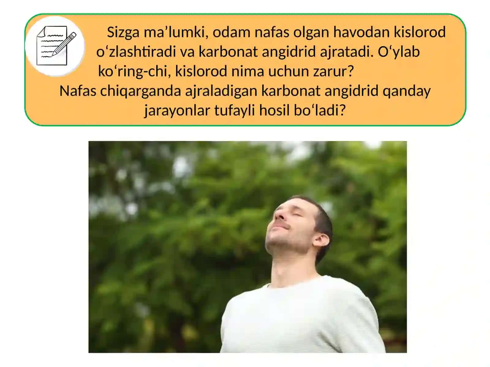 TIRIK ORGANIZMLARNING NAFAS OLISHI 3