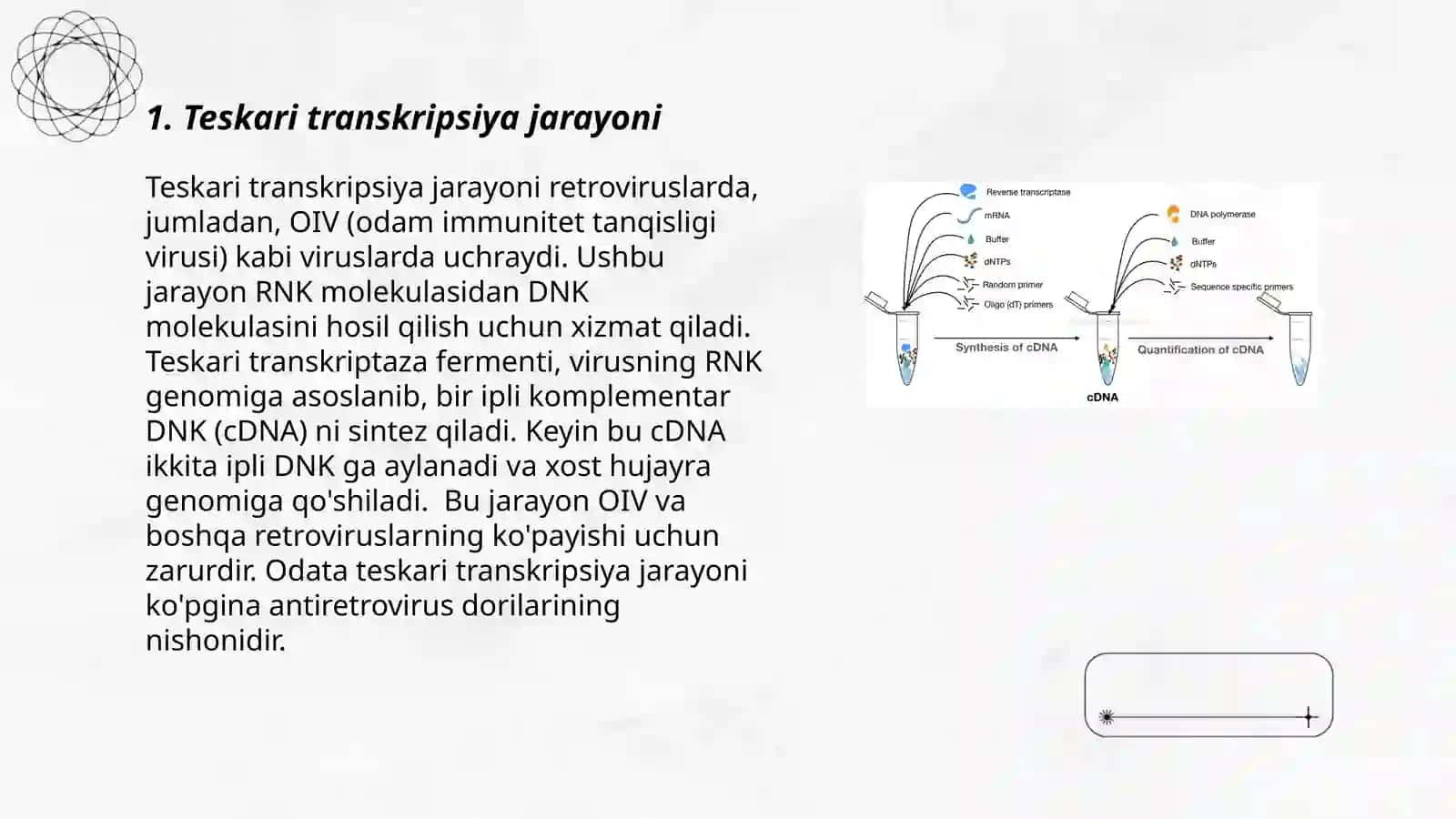 Teskari transkripsiya 3