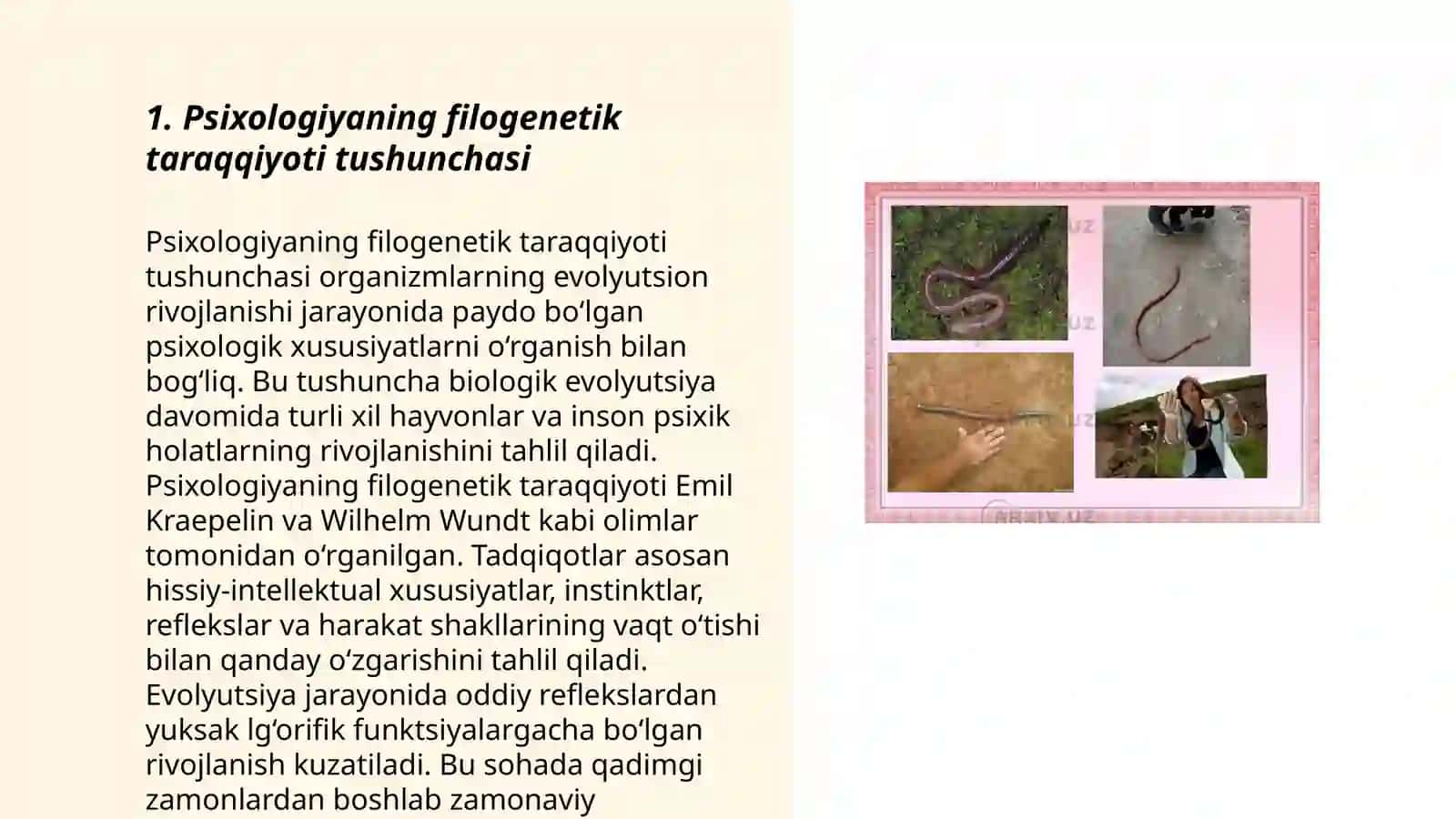Psixologiyaning filogenetik taraqqiyoti 3