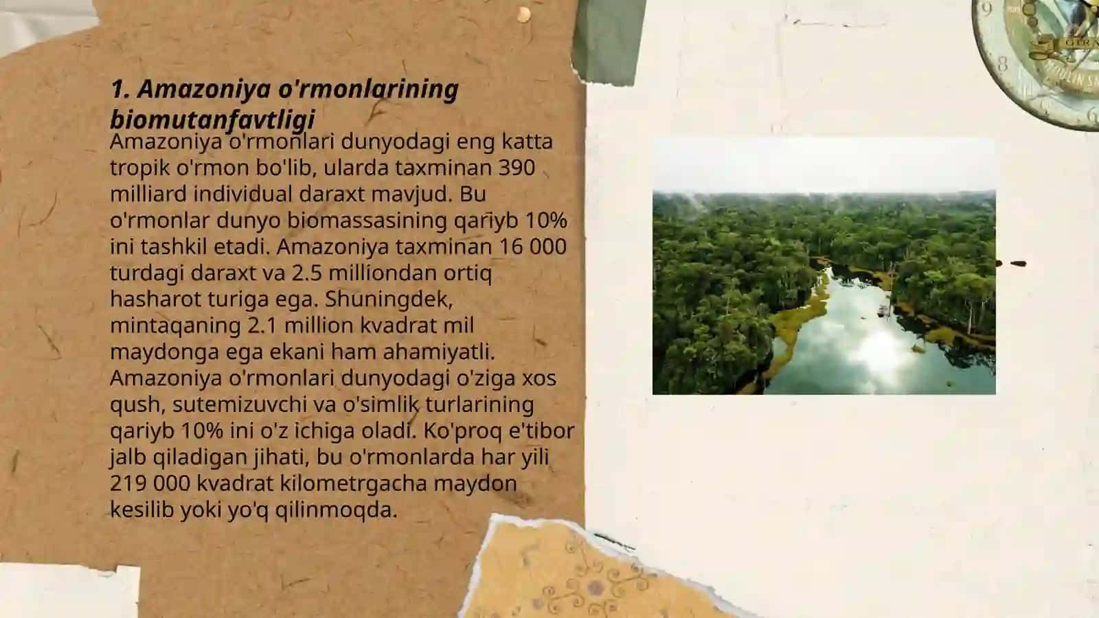 Amazoniya órmonlari 3
