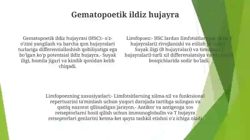 Limfotsitopoezning Hususiyatlari 3