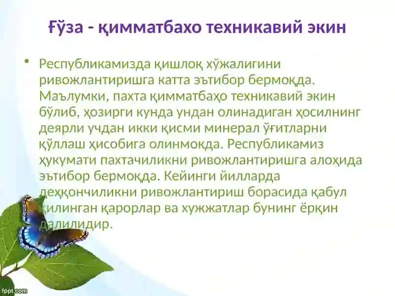Толали-техник экинларни ўғитлаш 3