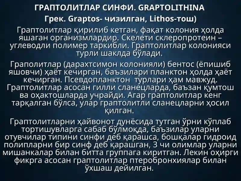 ЧАЛА ХОРДАЛИЛАР ТИПИ.Hemichordata 3