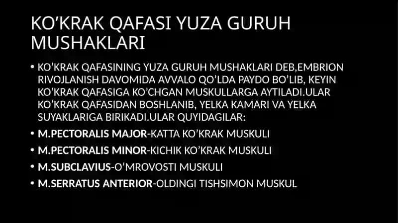 ko'krak mushaklari 3