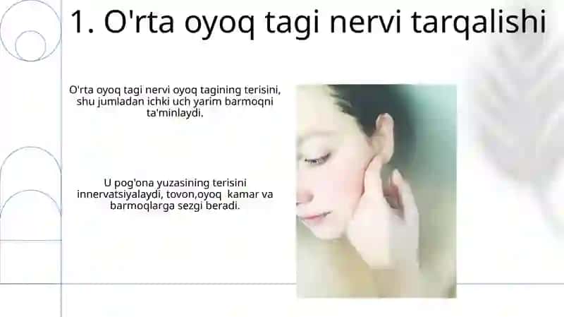 Qól va oyoq terisi innervatsiyasi 3