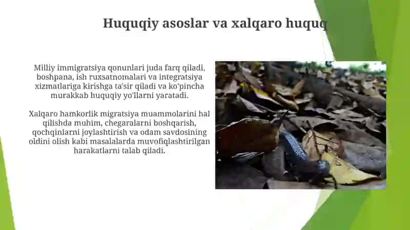 Migratsiya va qochoqlar muammosi 3