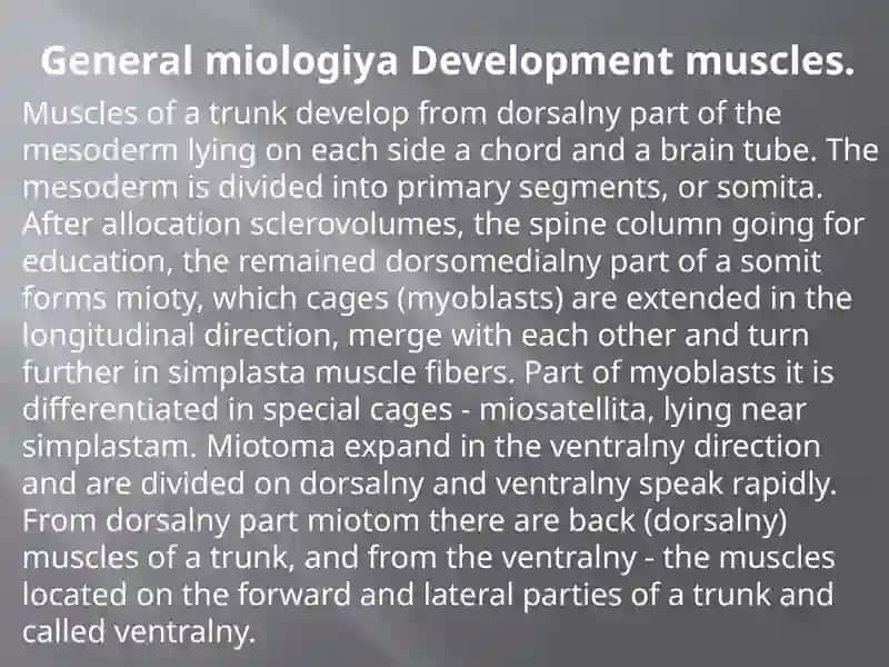 The doctrine about muscles. Muscles and fastion of a breast, stomach and back. Diaphragm. Topographical anatomy of a stomach. 3