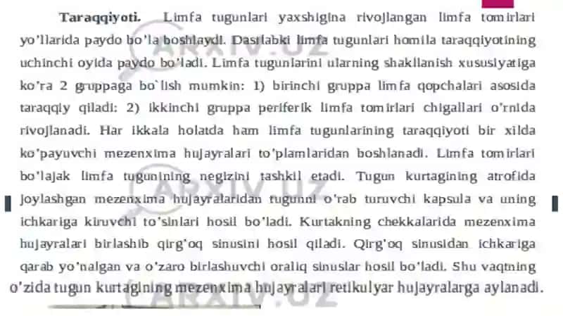 Limfa tugunlari 3