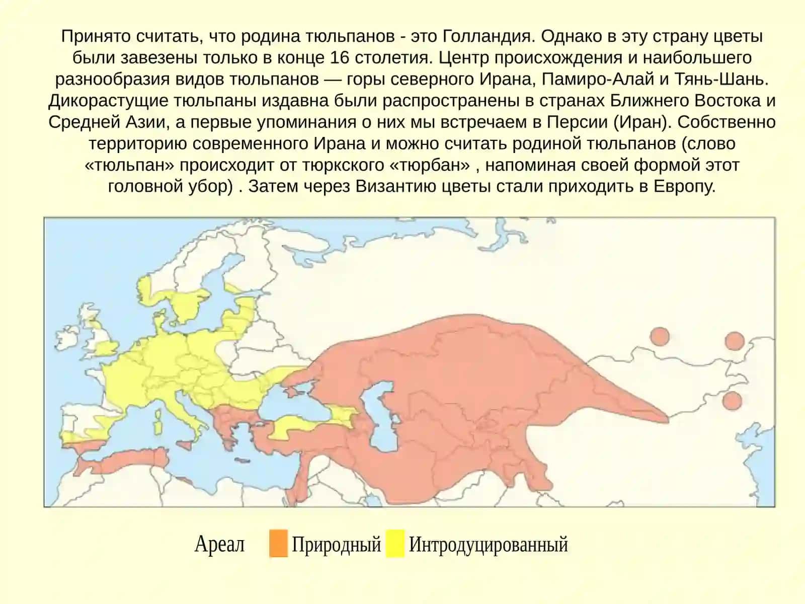 Растения и их полезные свойства 3