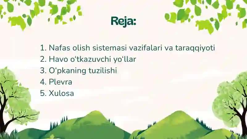 Nafas olish tizimi a’zolarining qiyosiy gistologik tavsifi 3