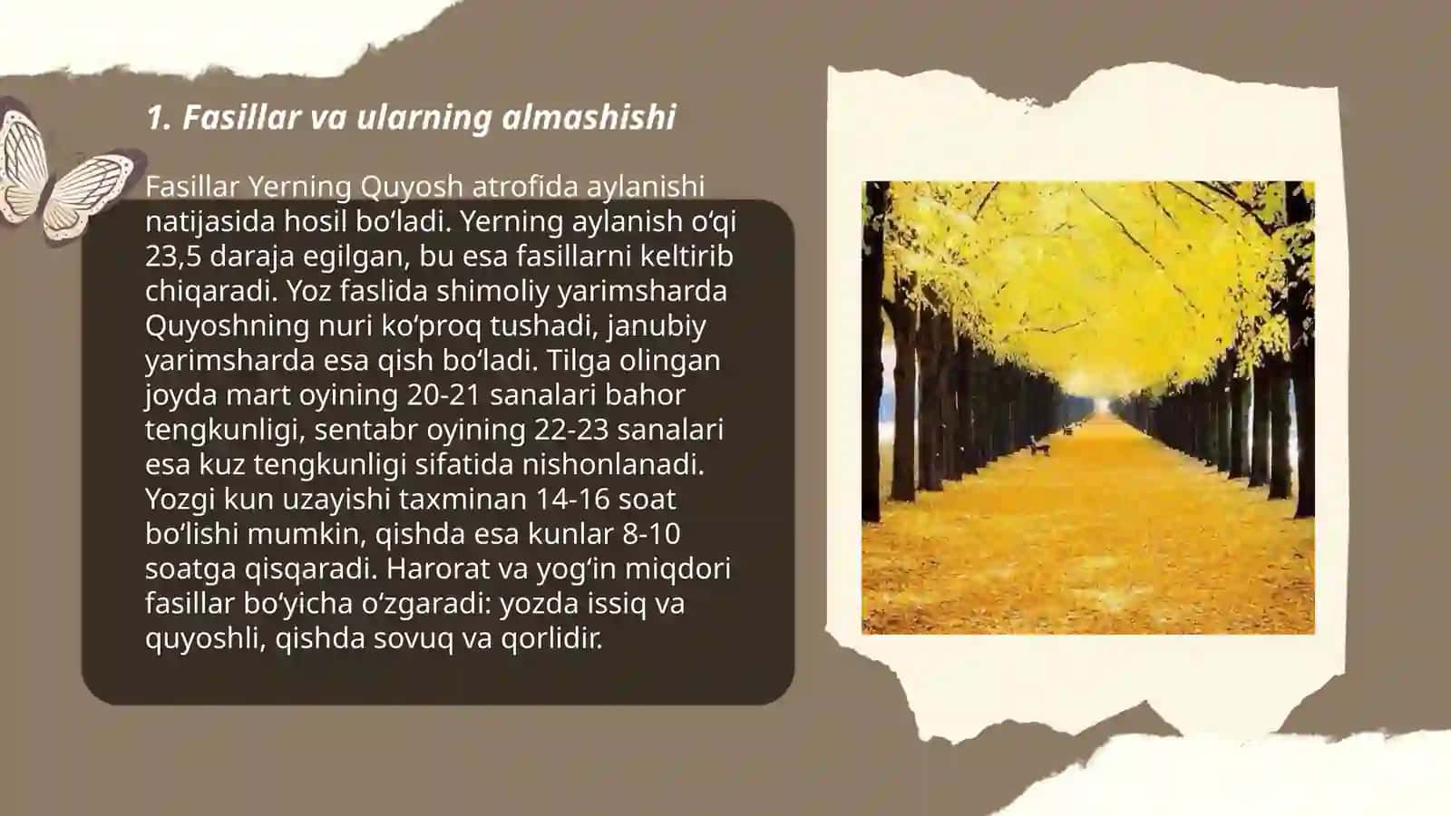 Fasillar 3