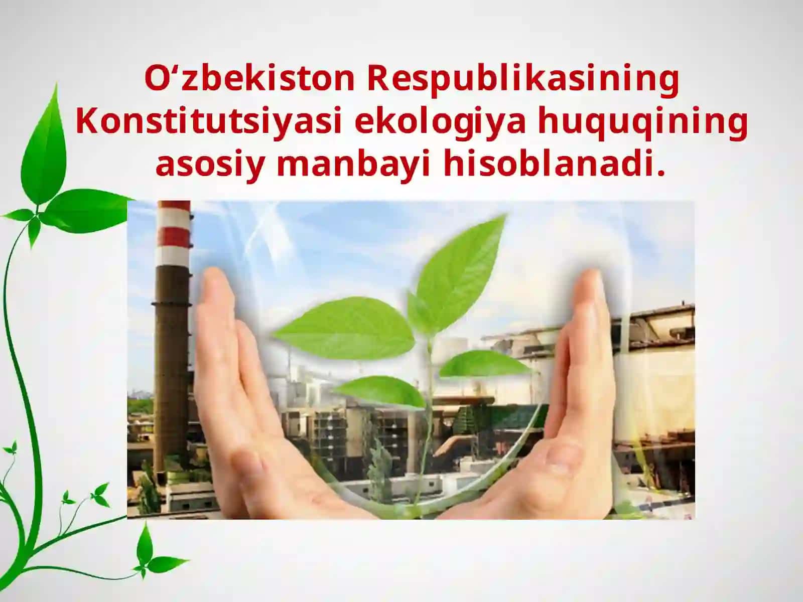 Ekologiya huquqi 3