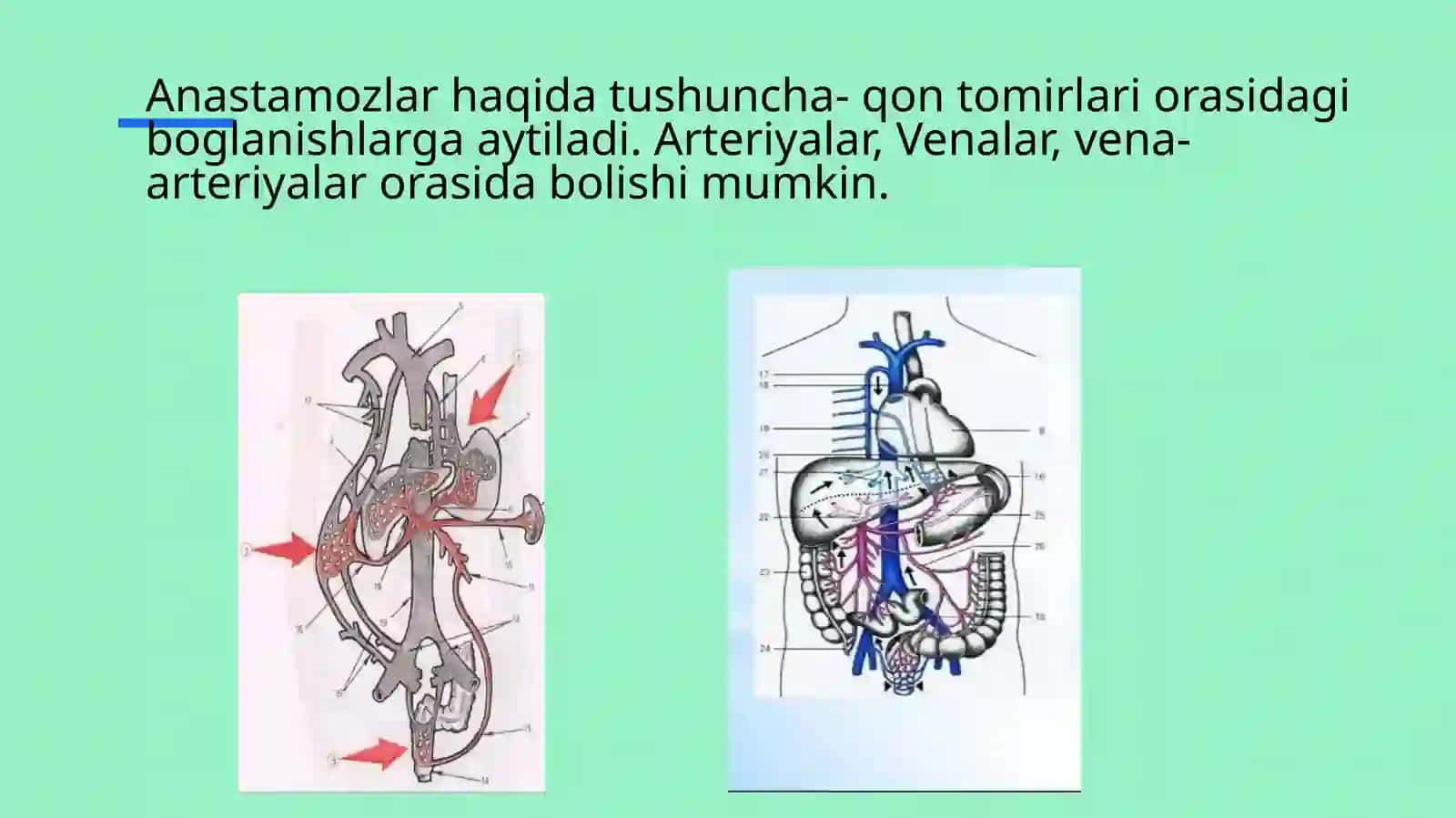 anastamozlar 3