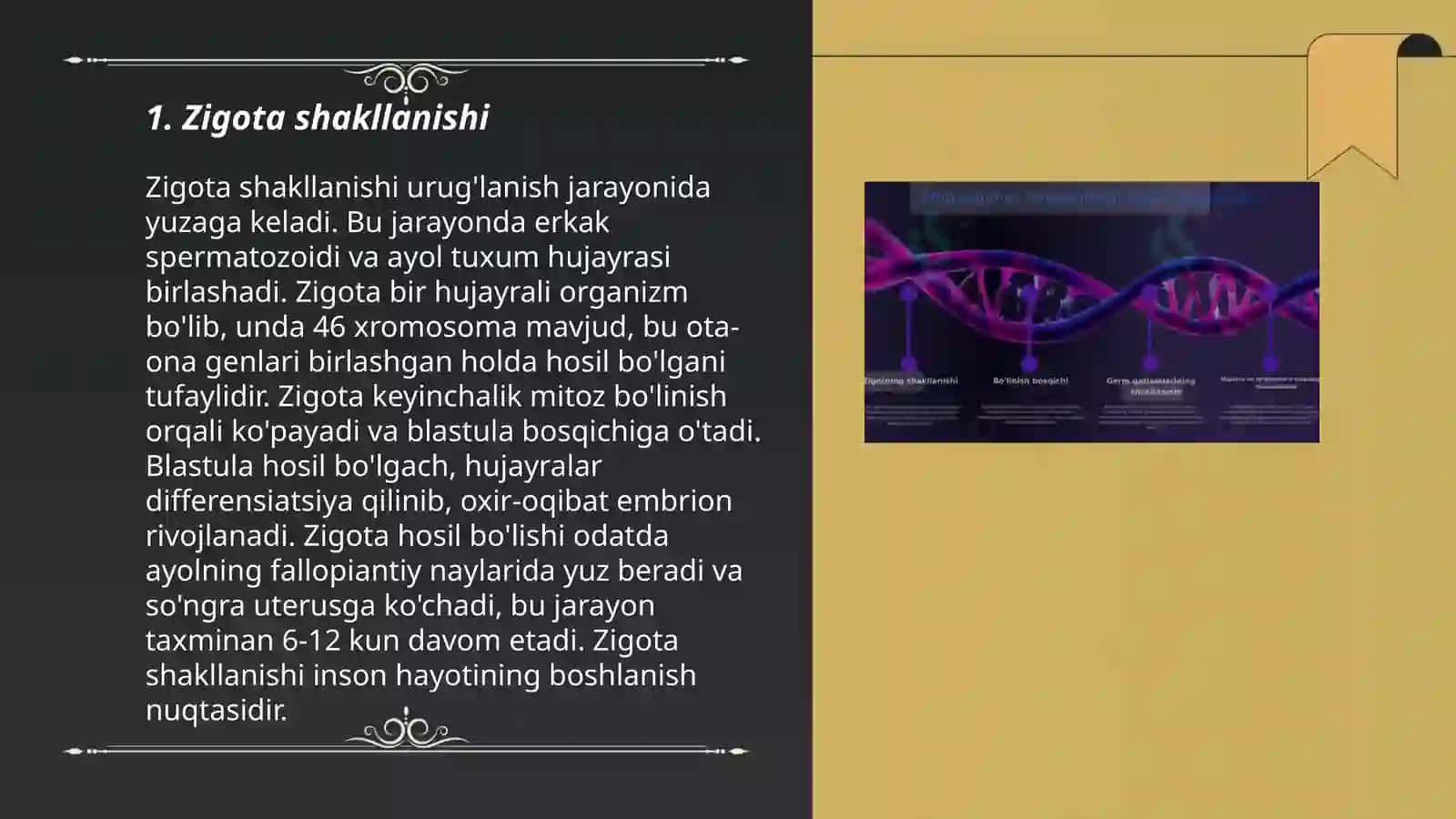 Odam embriogenezining qaltis davrlari 3