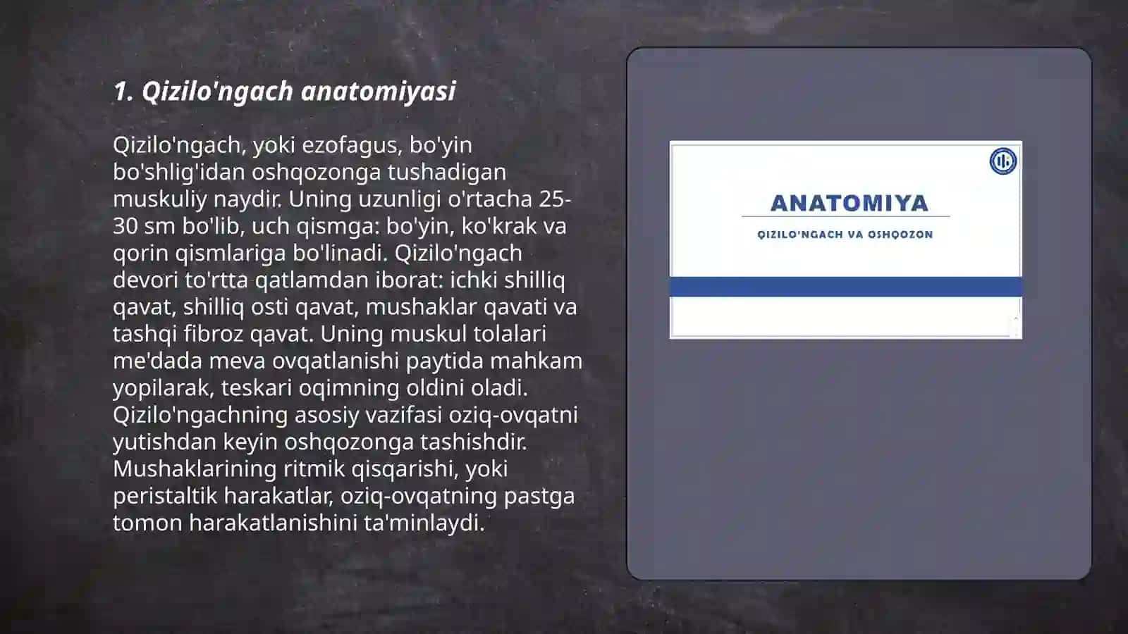 Qizilo'ngach 3