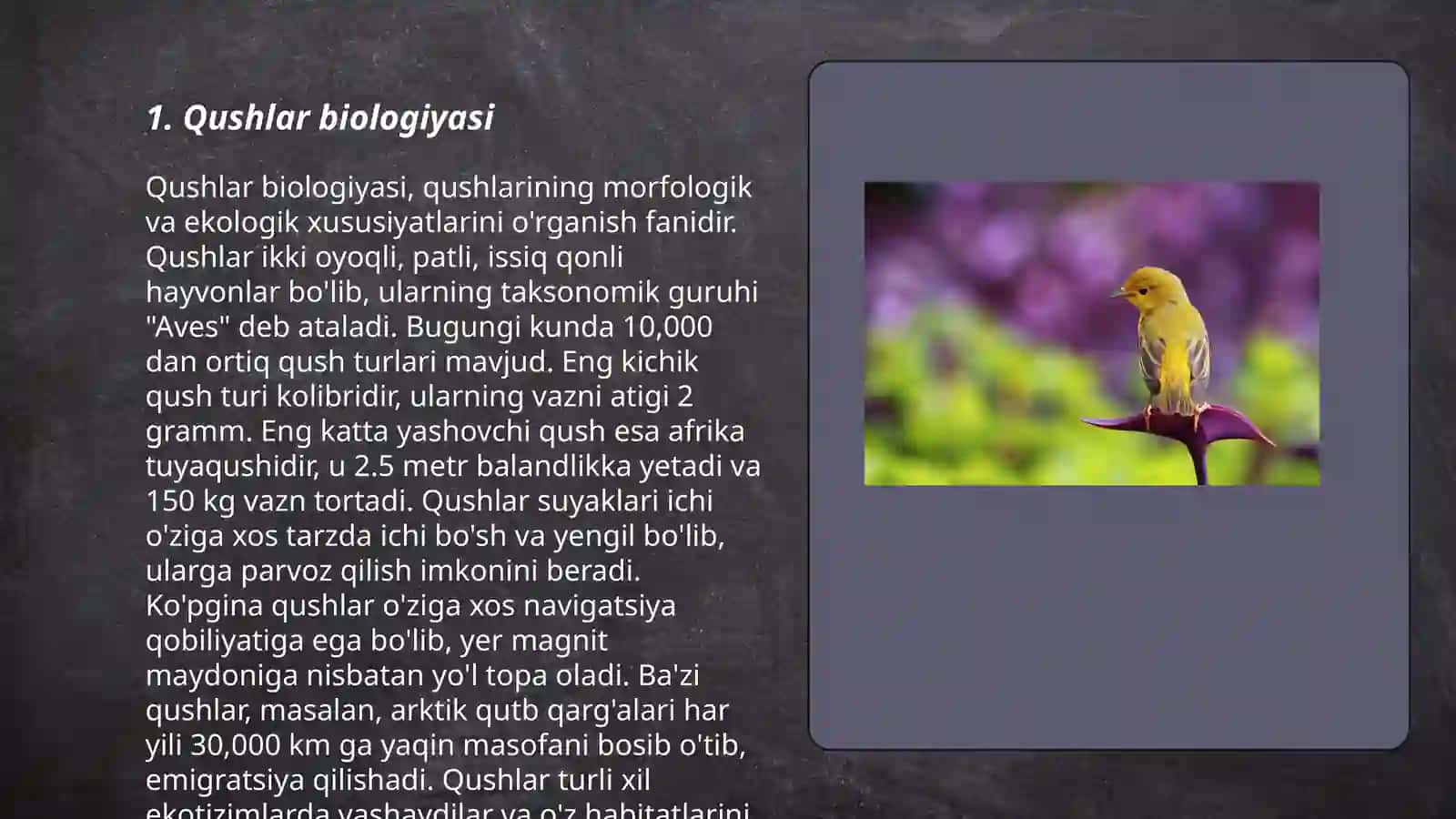 Qushlar biologiyasi 3
