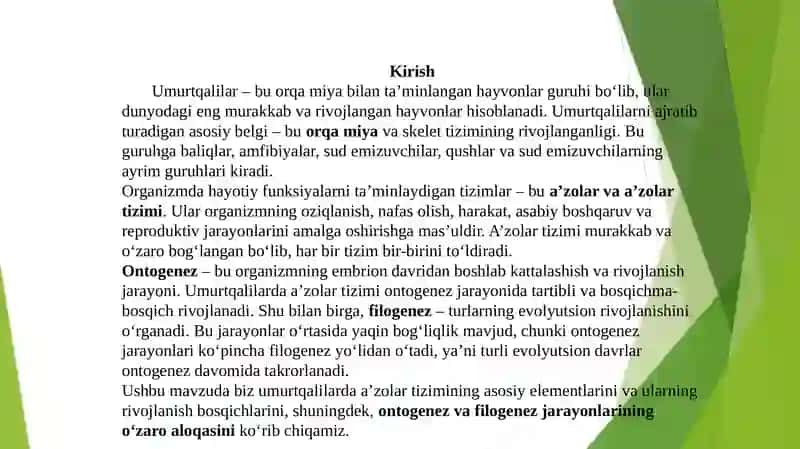 Umurtqalilarda a'zolar va zolartizimi ontogenzi 3
