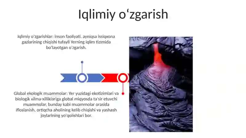 Global Ekologik Muammolar 3