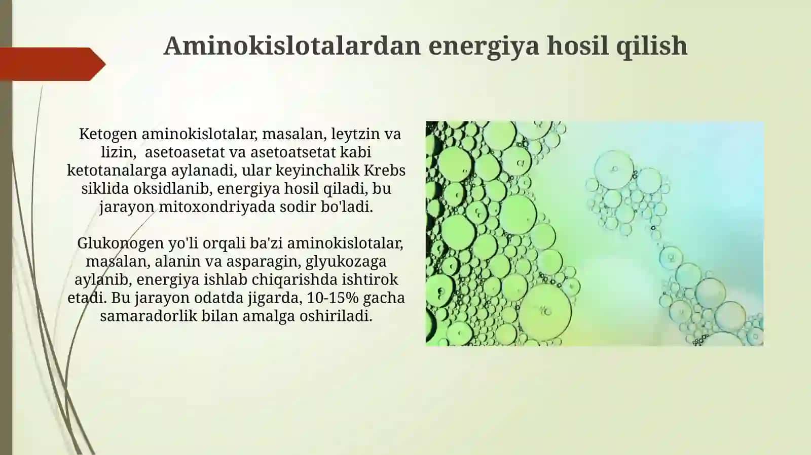 Aminokislotalaralohidaalmashinuvi 3